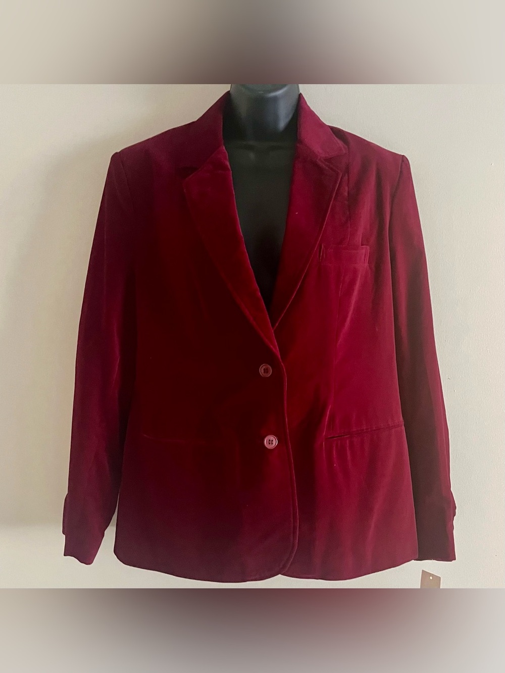 Vintage Women's Red Burgundy Velvet Lined Long Sleeeve Jacket - Size 14 NWT